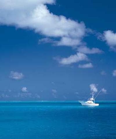 정가인 여성 팀장 프로필 사진